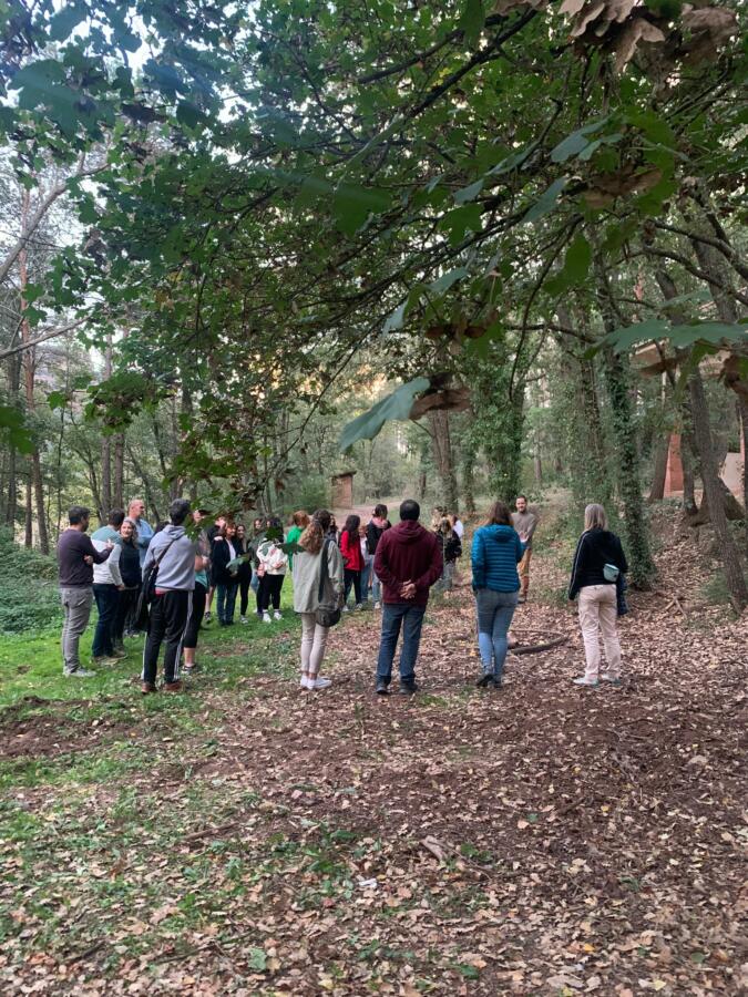 Experiència Bany de Bosc