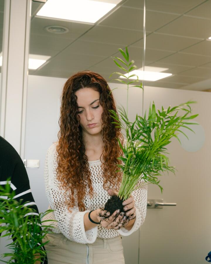 Create your own Kokedama