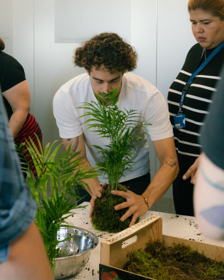 Crea tu Propio Kokedama