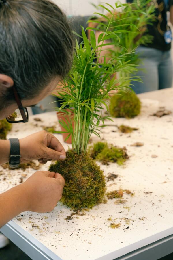 Crea tu Propio Kokedama