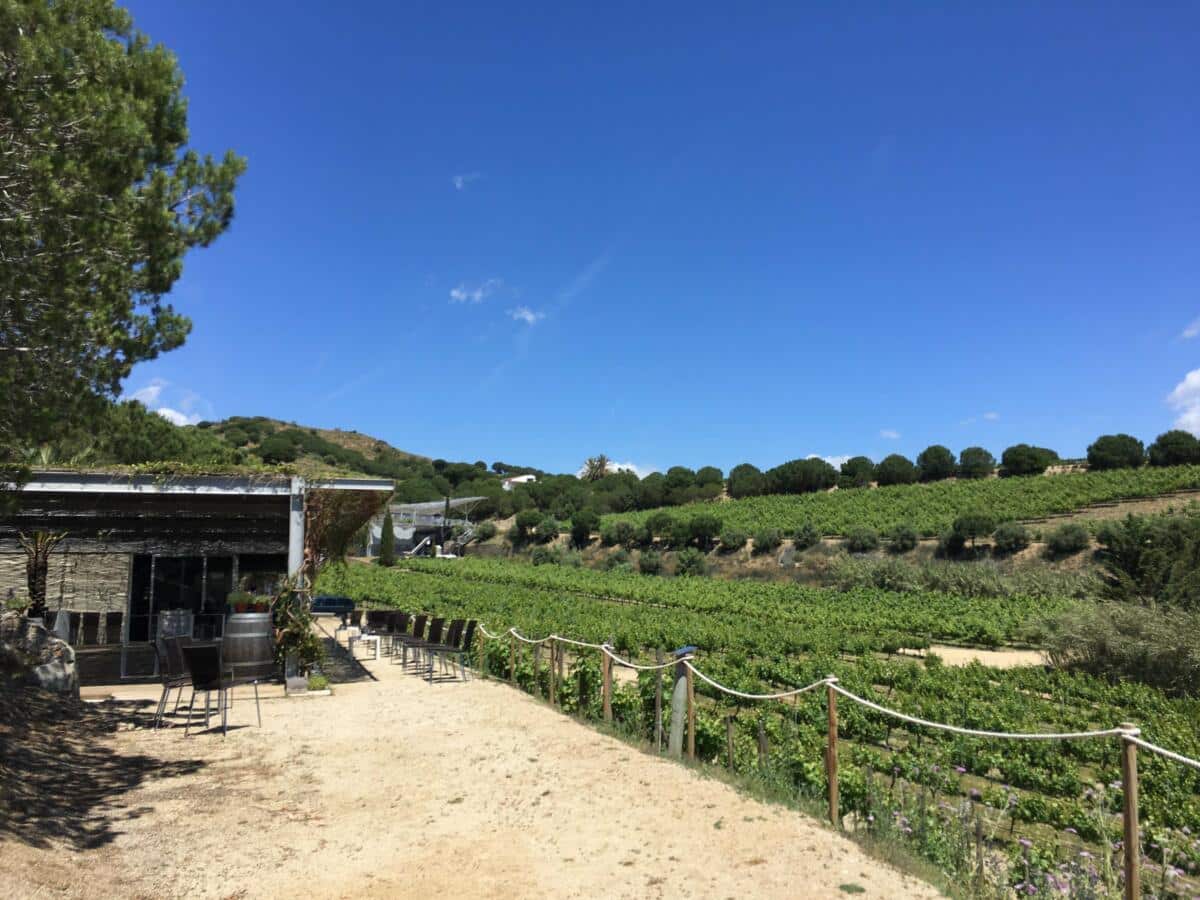 Navegació a Goleta i Visita Celler amb Tast de Vins