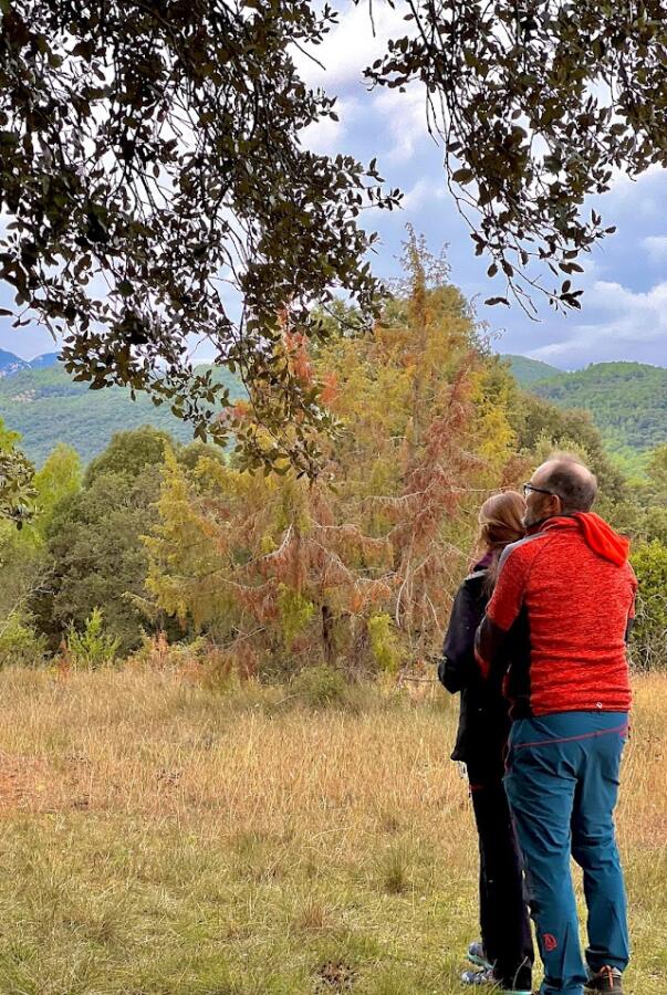 Taller del Bienestar Basado en la Natura