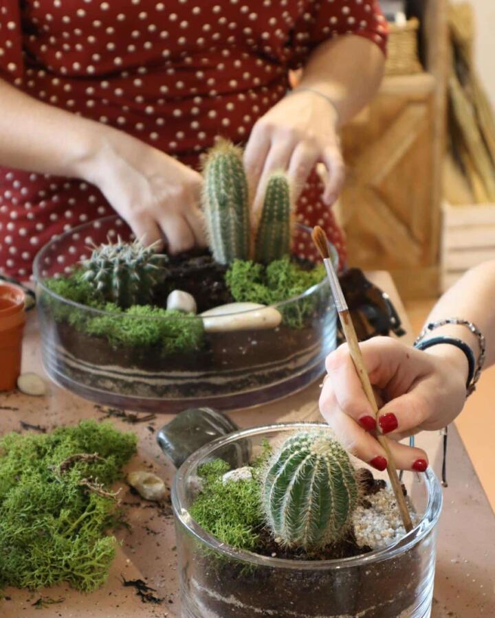 Create Your Own Terrarium