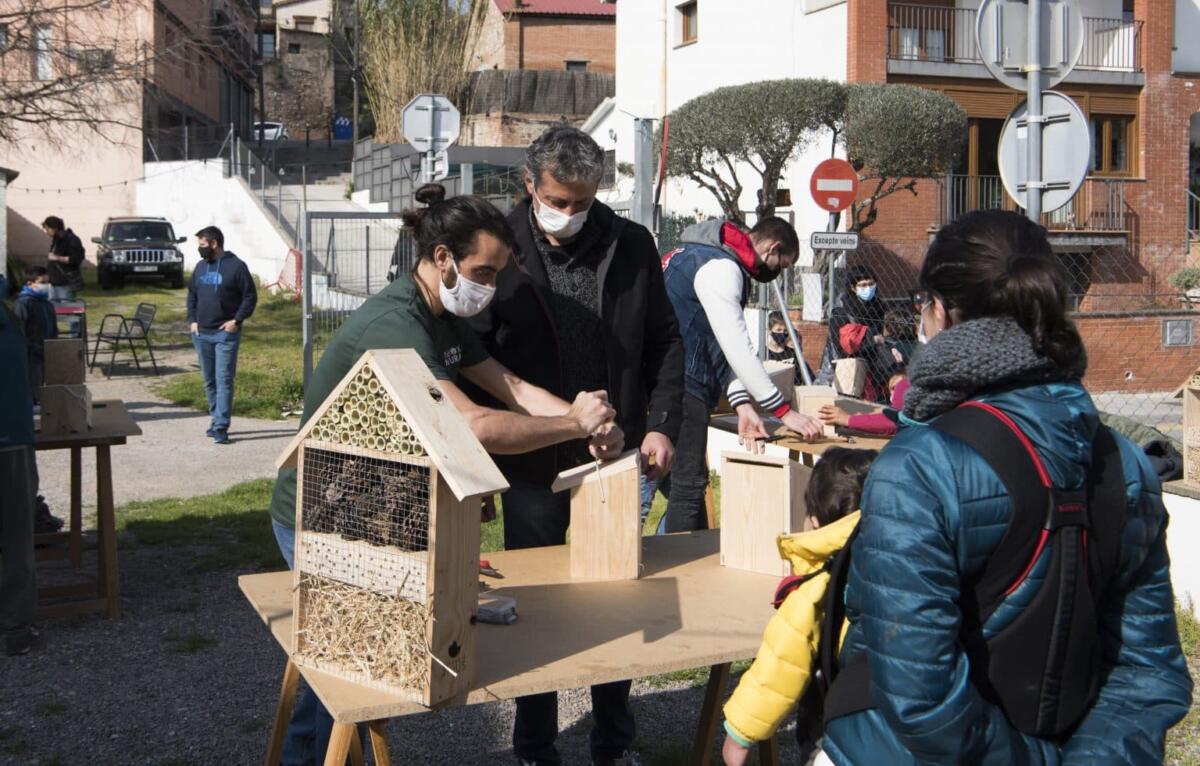 Construeix la teva caixa per a insectes