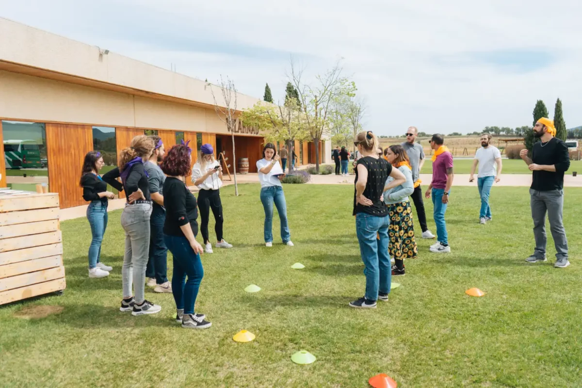 Competició de Paelles a l'estil masterxef